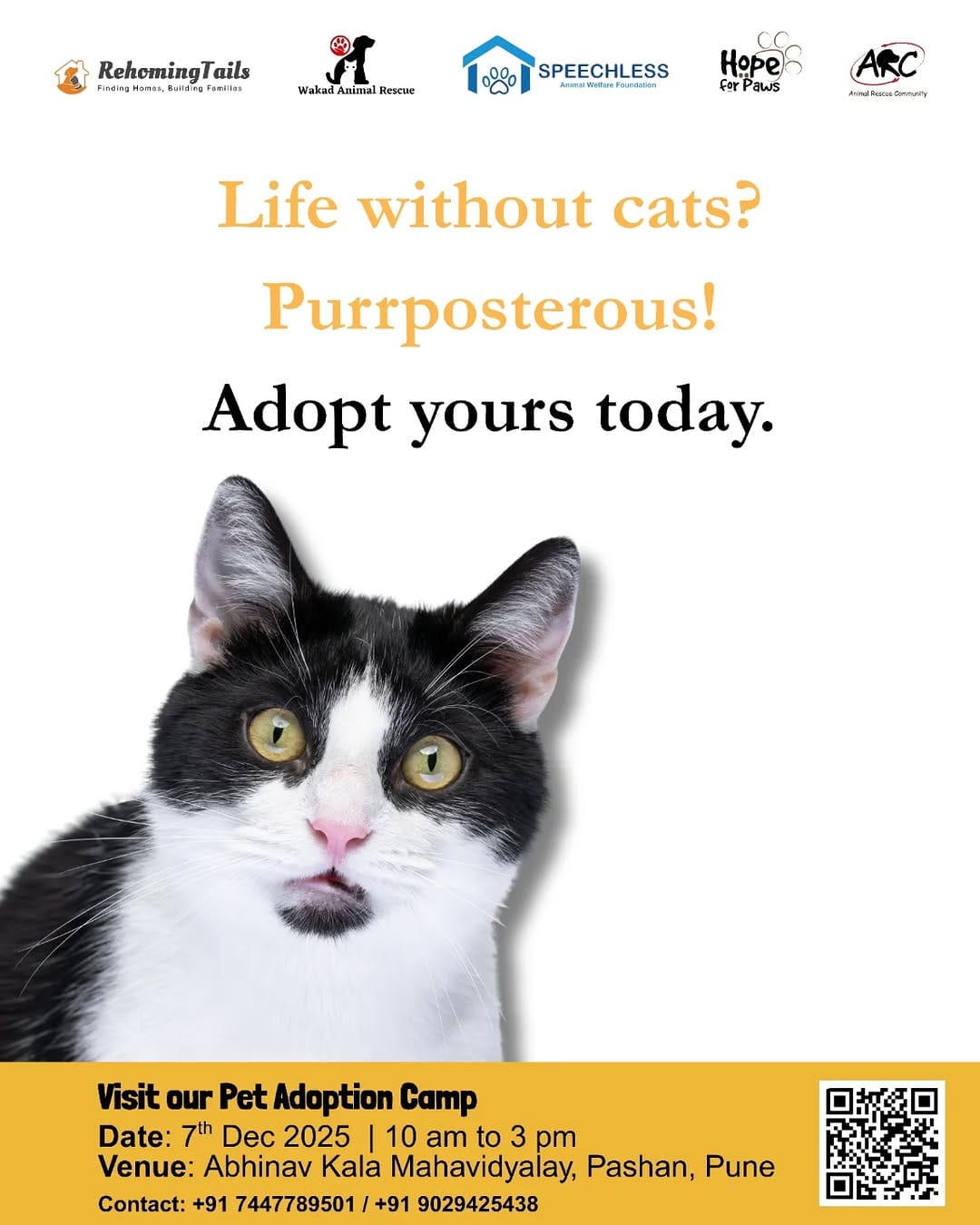 Post 9 by Pet Adoption Pune on Instagram (image)