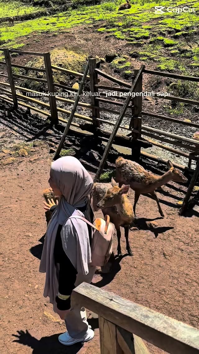 Post 3 by Sleepyboboo on Instagram (video)