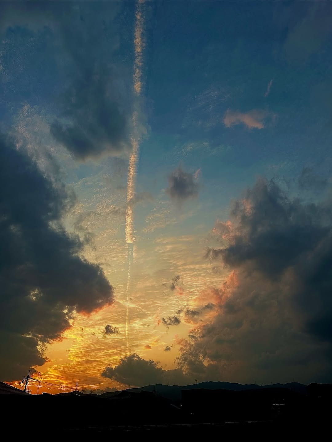 Post 10 by @yuri_p.hoto on Instagram (image)