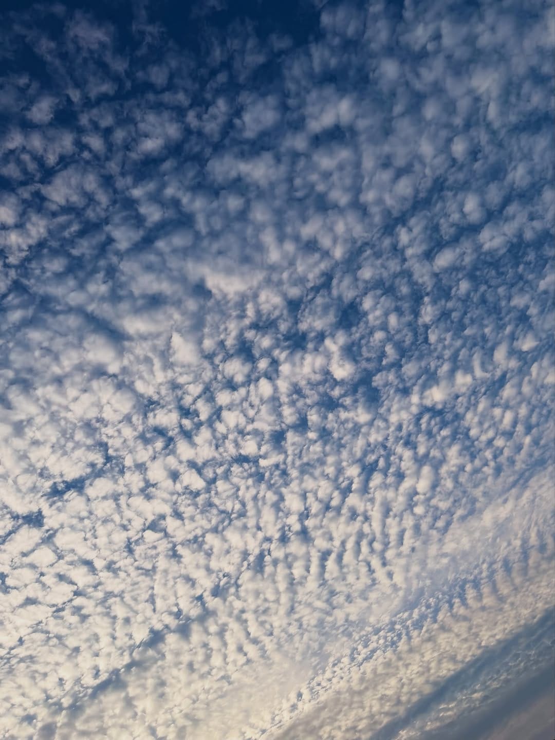 Post 3 by @yuri_p.hoto on Instagram (image)