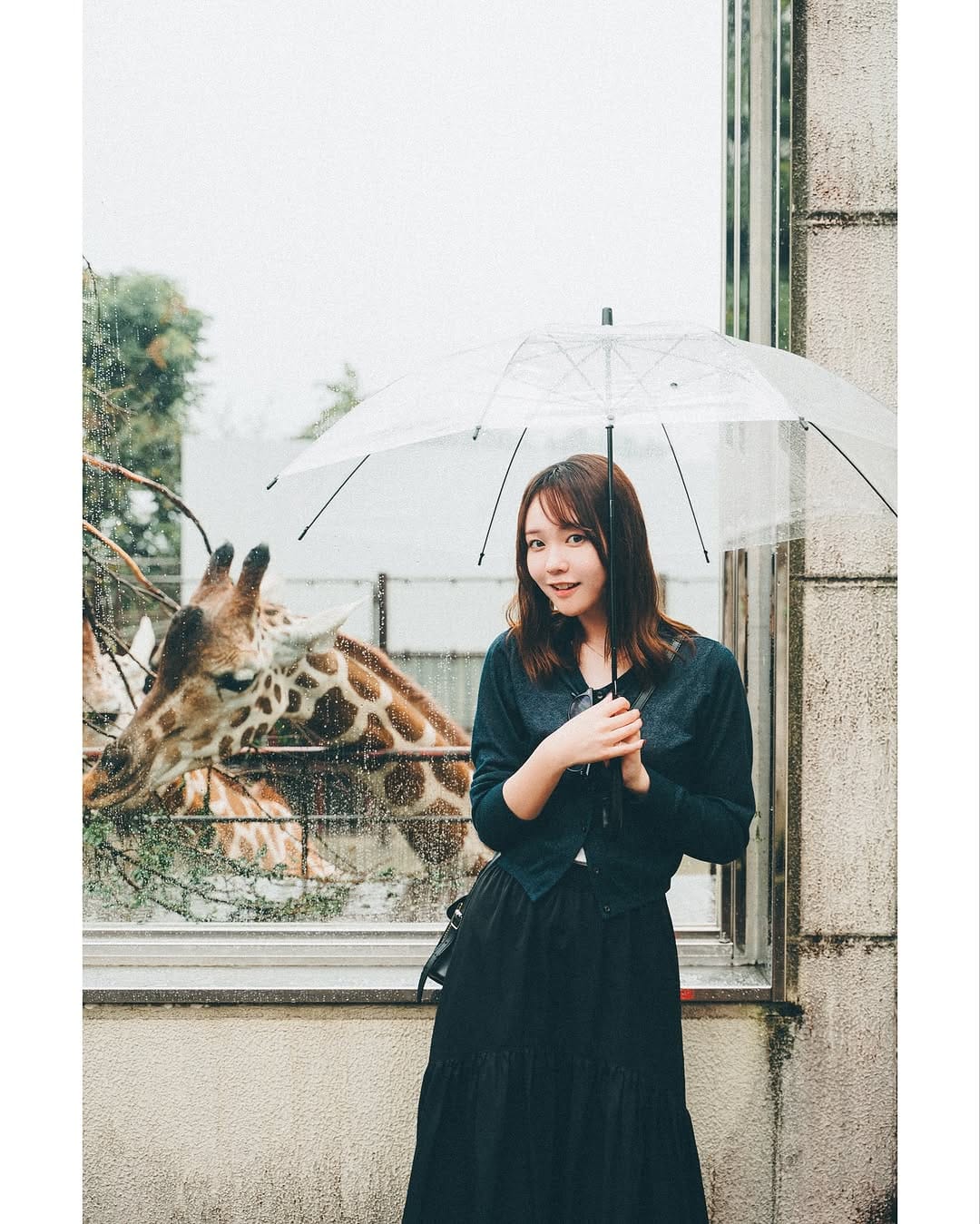 Post 8 by せ　　い on Instagram (carousel)