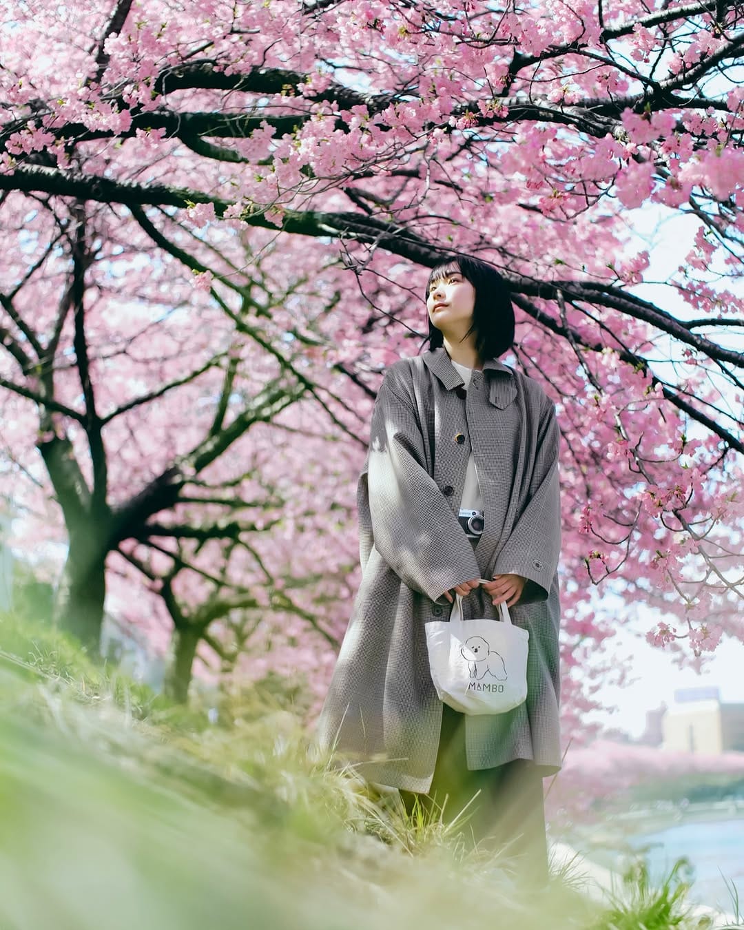 Post 1 by seigo on Instagram (image)