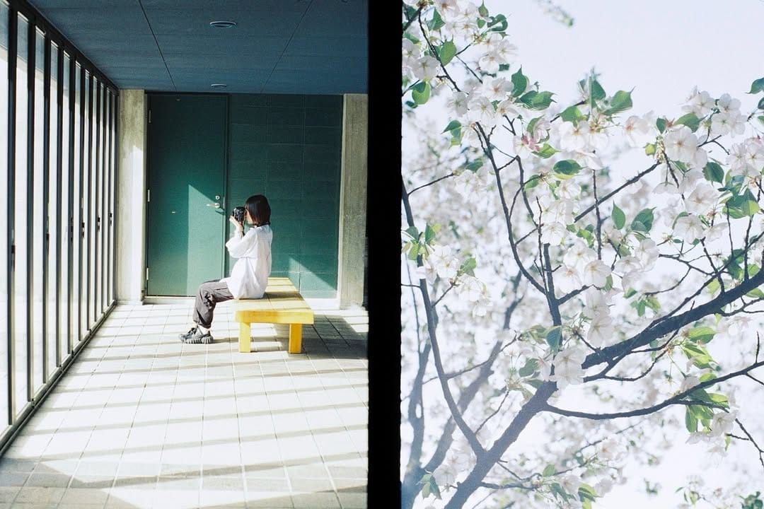 Post 9 by seigo on Instagram (carousel)
