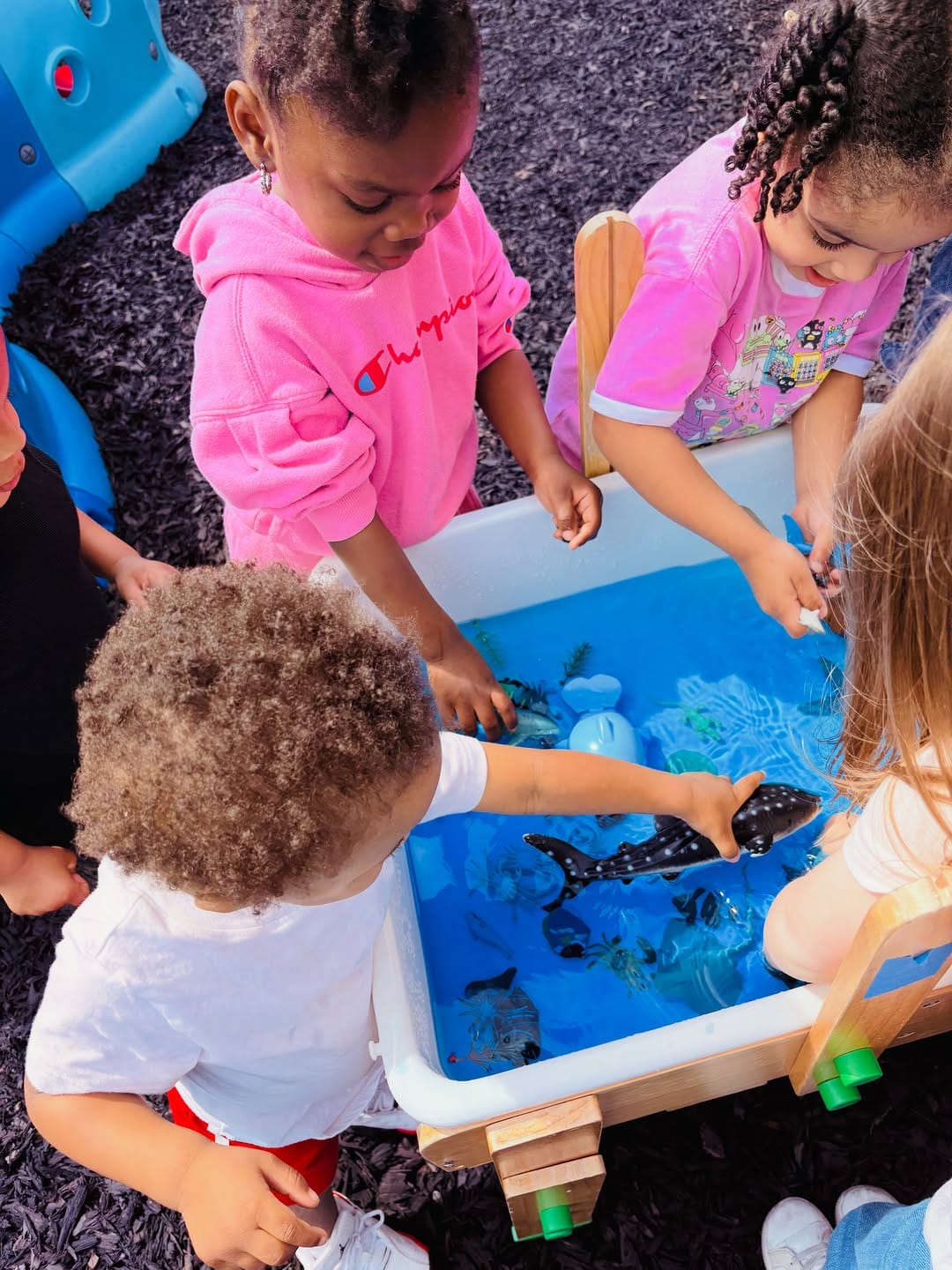 Post 7 by Holabird Early Learning Center on Instagram (image)
