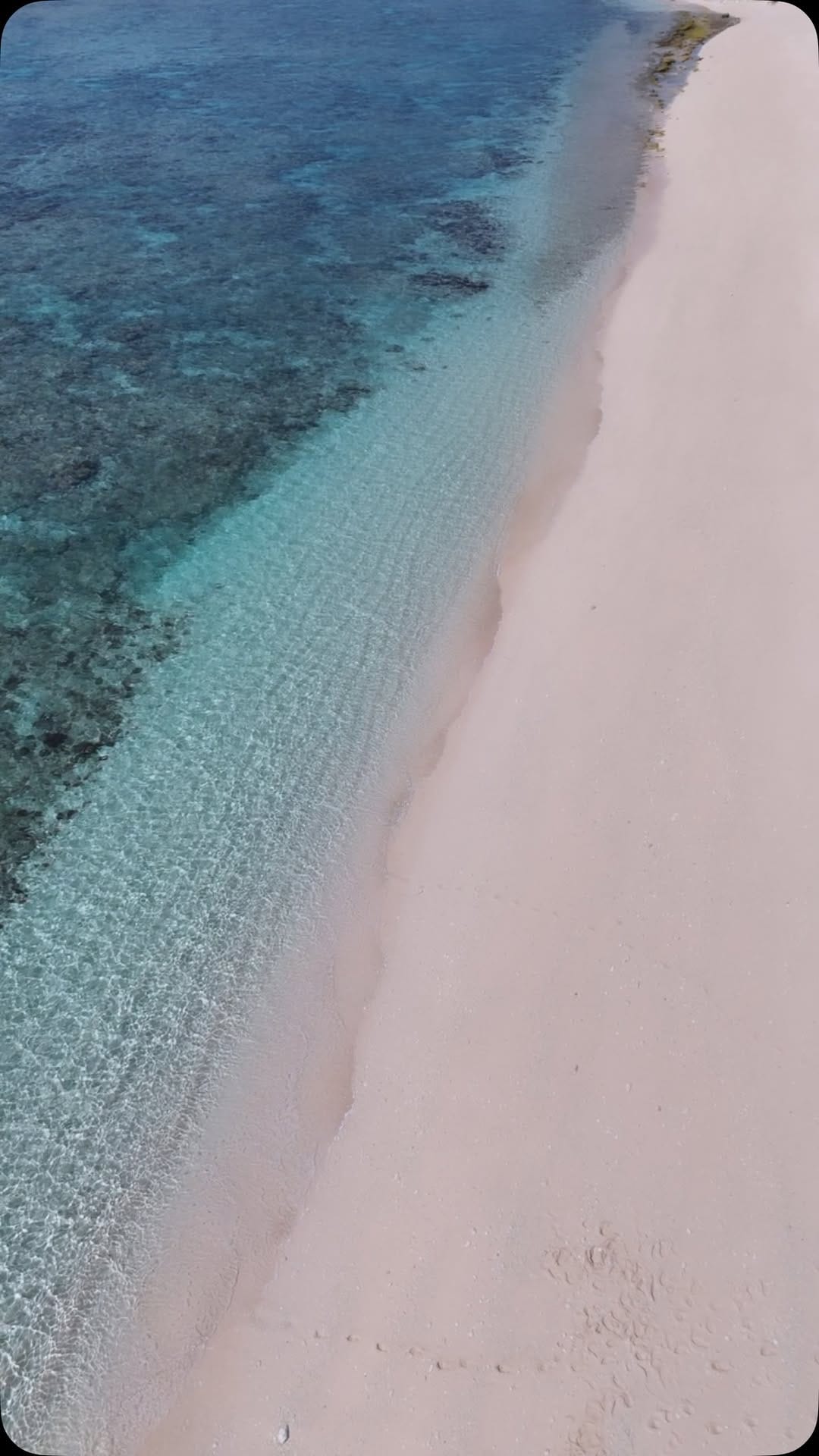 Post 1 by 小林 直人 on Instagram (video)