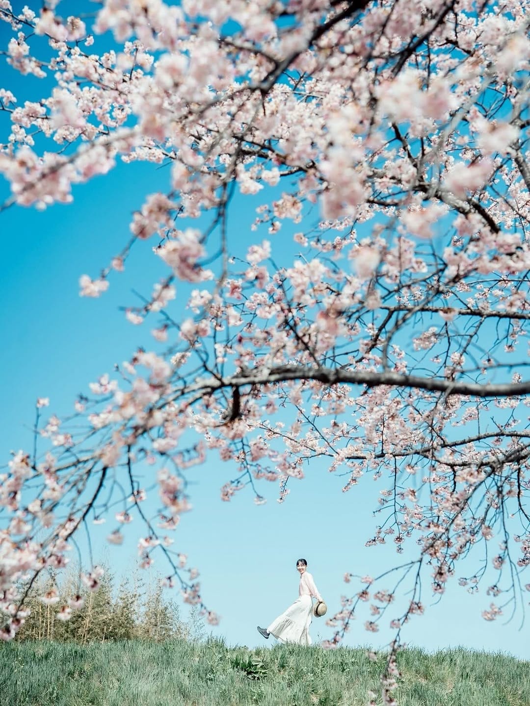 Post 5 by Haruka Miyazaki on Instagram (carousel)