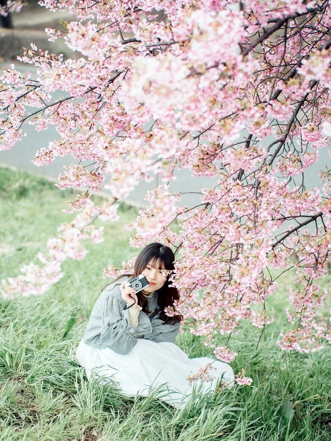 Post 6 by Haruka Miyazaki on Instagram (carousel)