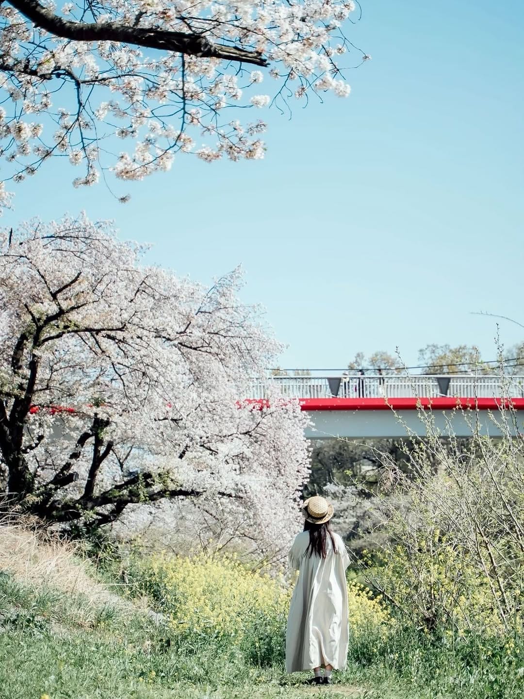 Post 3 by Haruka Miyazaki on Instagram (carousel)