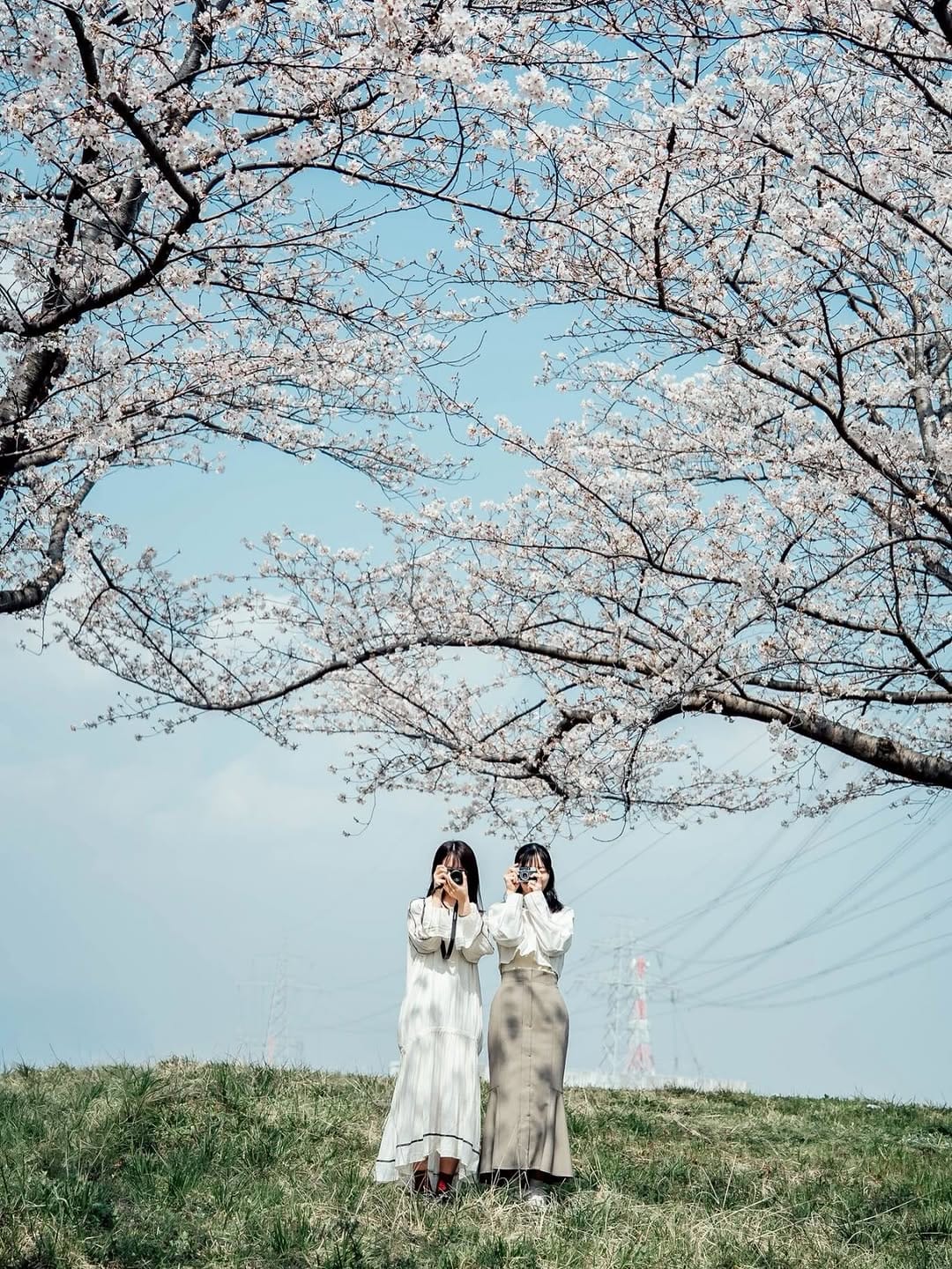 Post 1 by Haruka Miyazaki on Instagram (carousel)