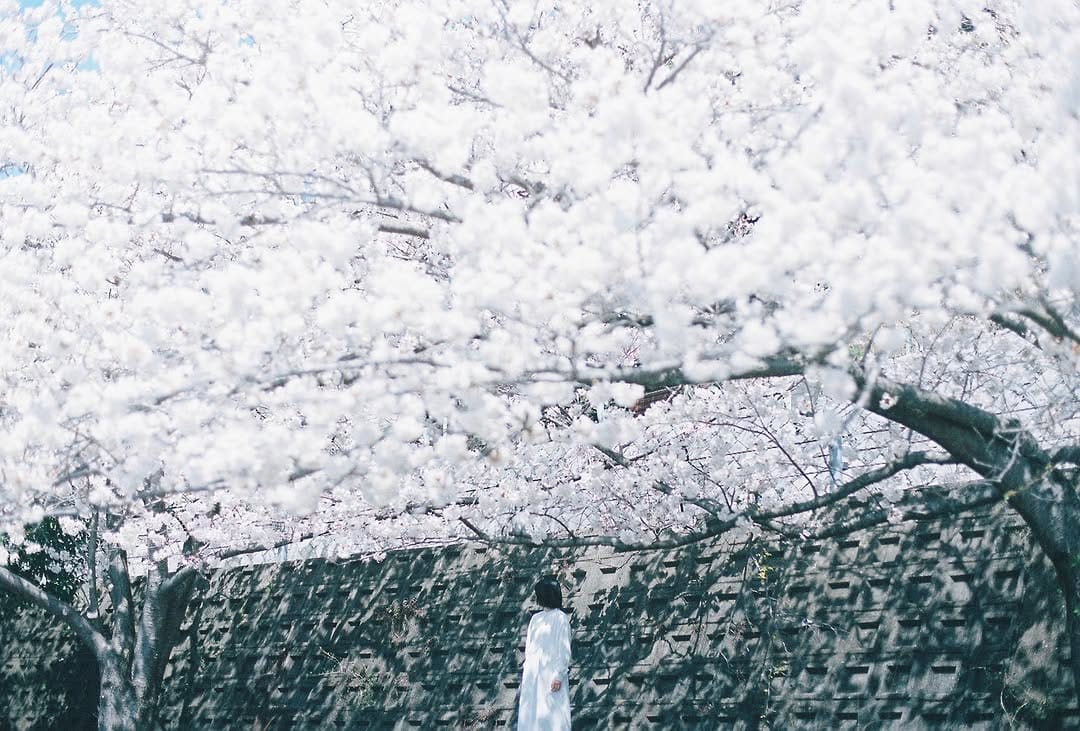 Post 1 by nono on Instagram (image)