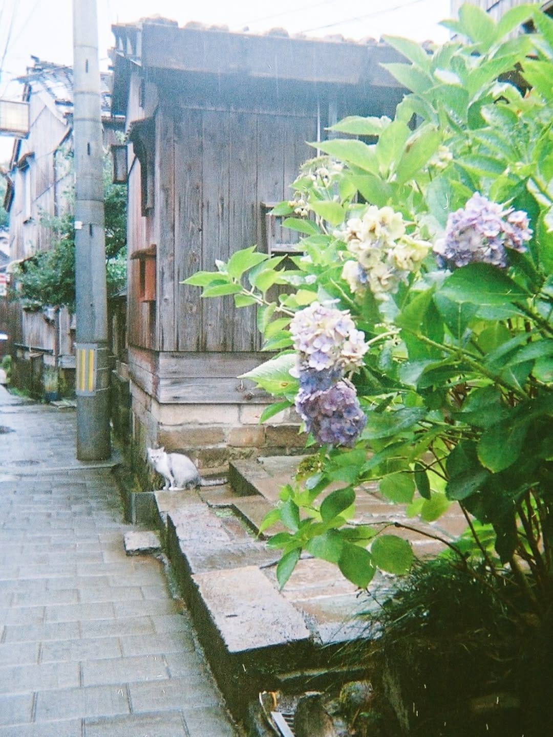 Post 8 by nono on Instagram (image)