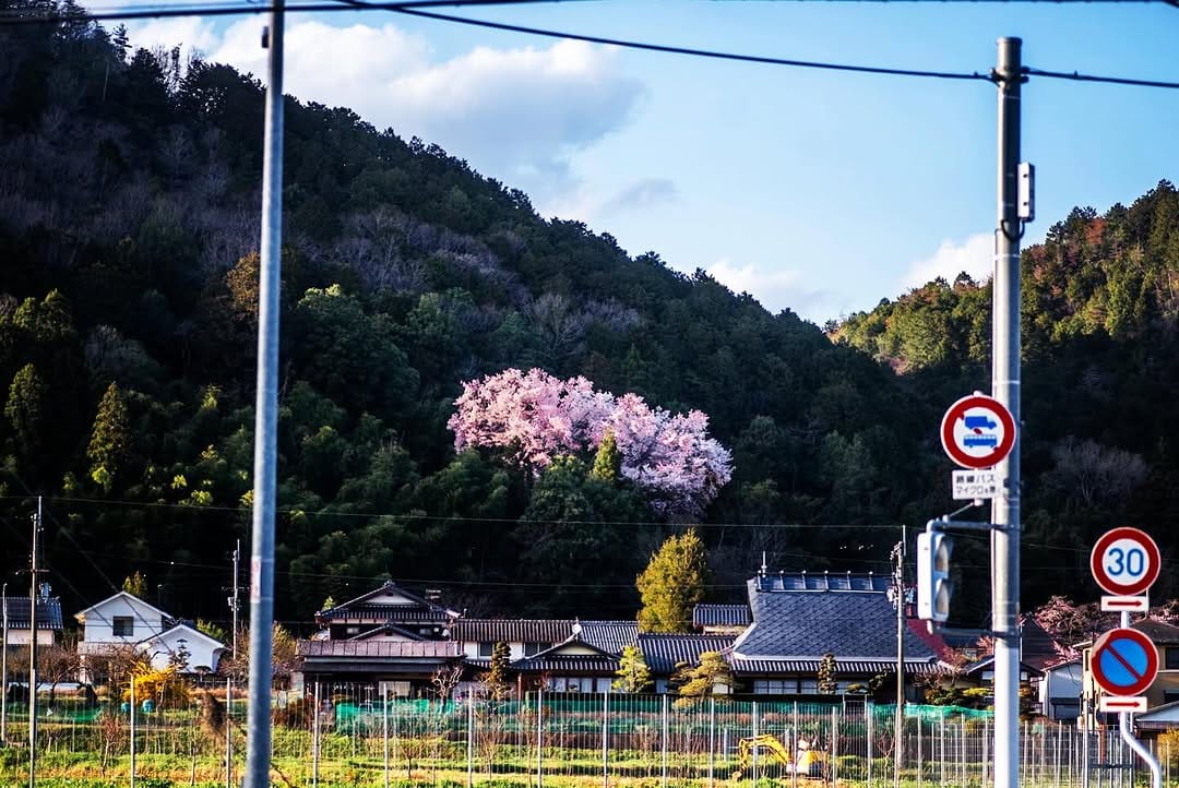 Post 3 by つよぽん on Instagram (image)