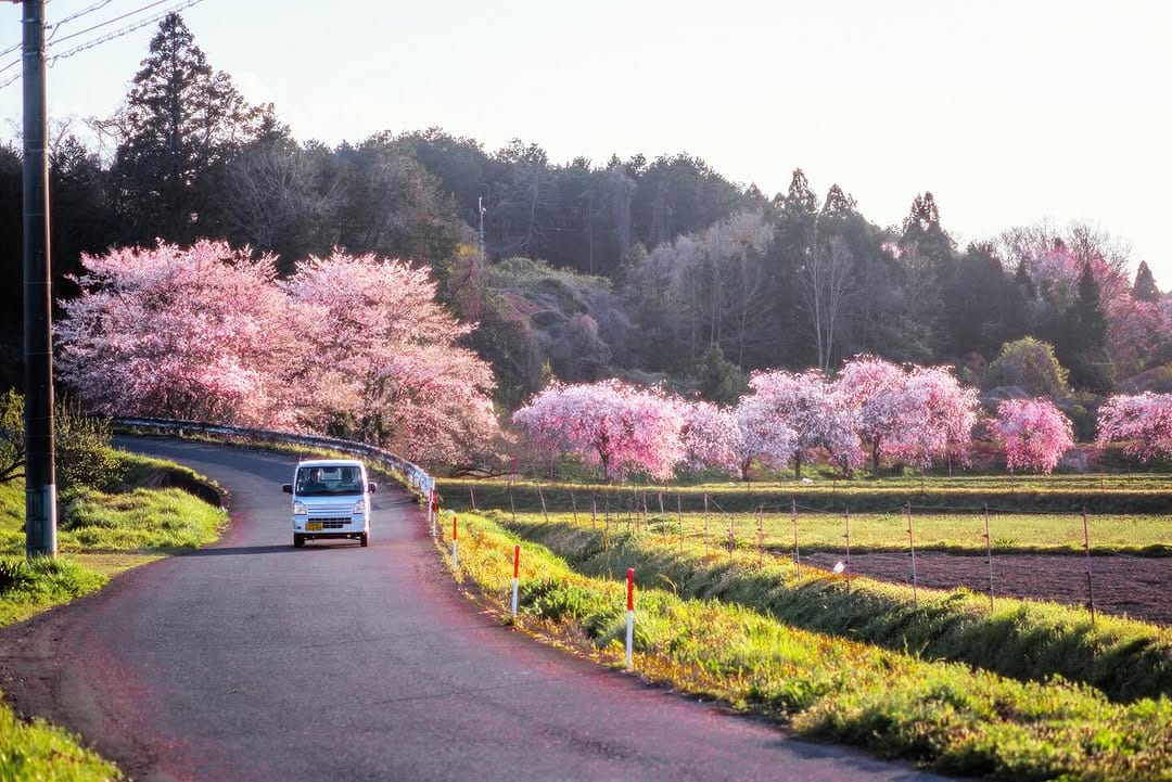 Post 5 by つよぽん on Instagram (image)