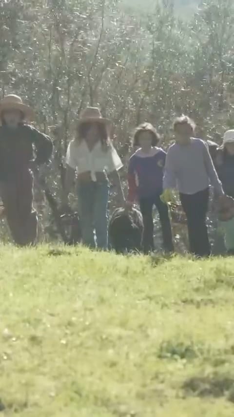 Post 8 by Alina Pinelli on Instagram (video)