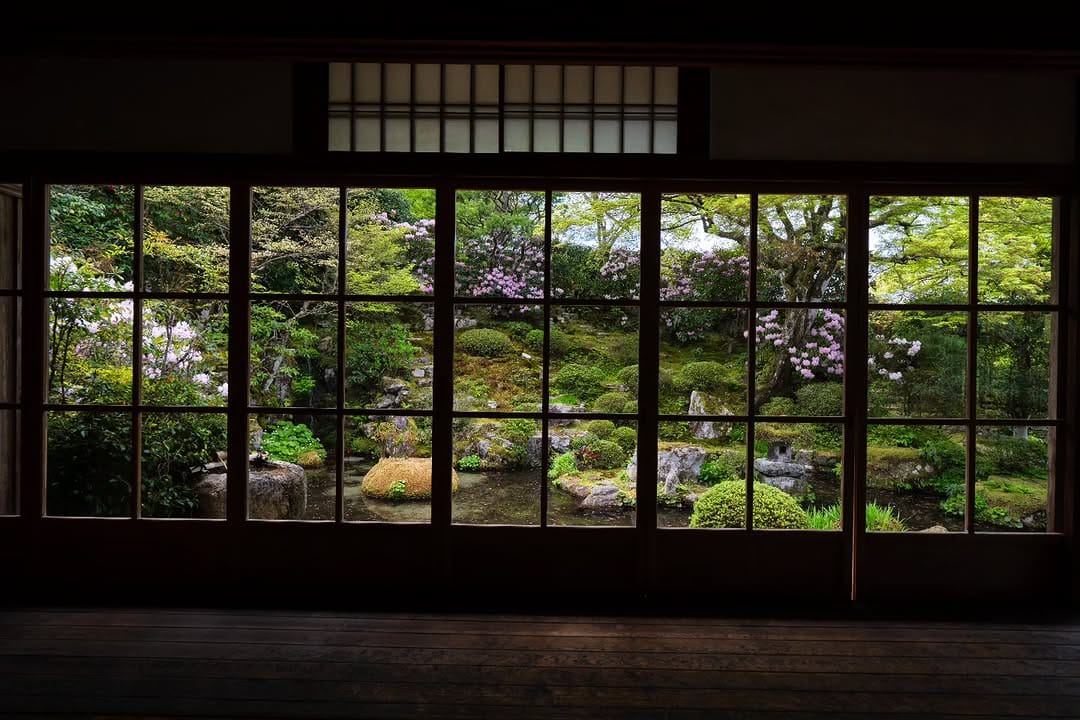 Post 8 by D.Ando(Kyoto) on Instagram (image)