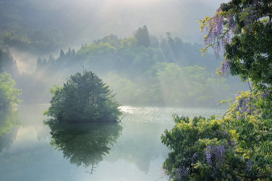 Post 6 by D.Ando(Kyoto) on Instagram (image)