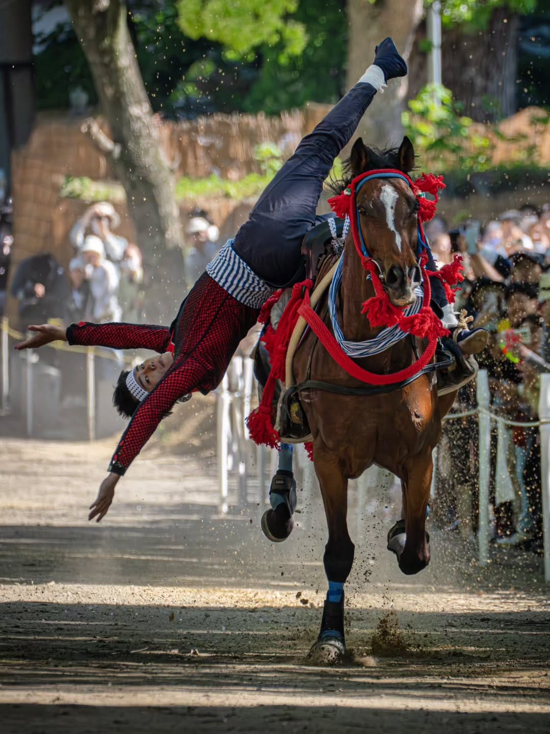 Post 3 by D.Ando(Kyoto) on Instagram (carousel)