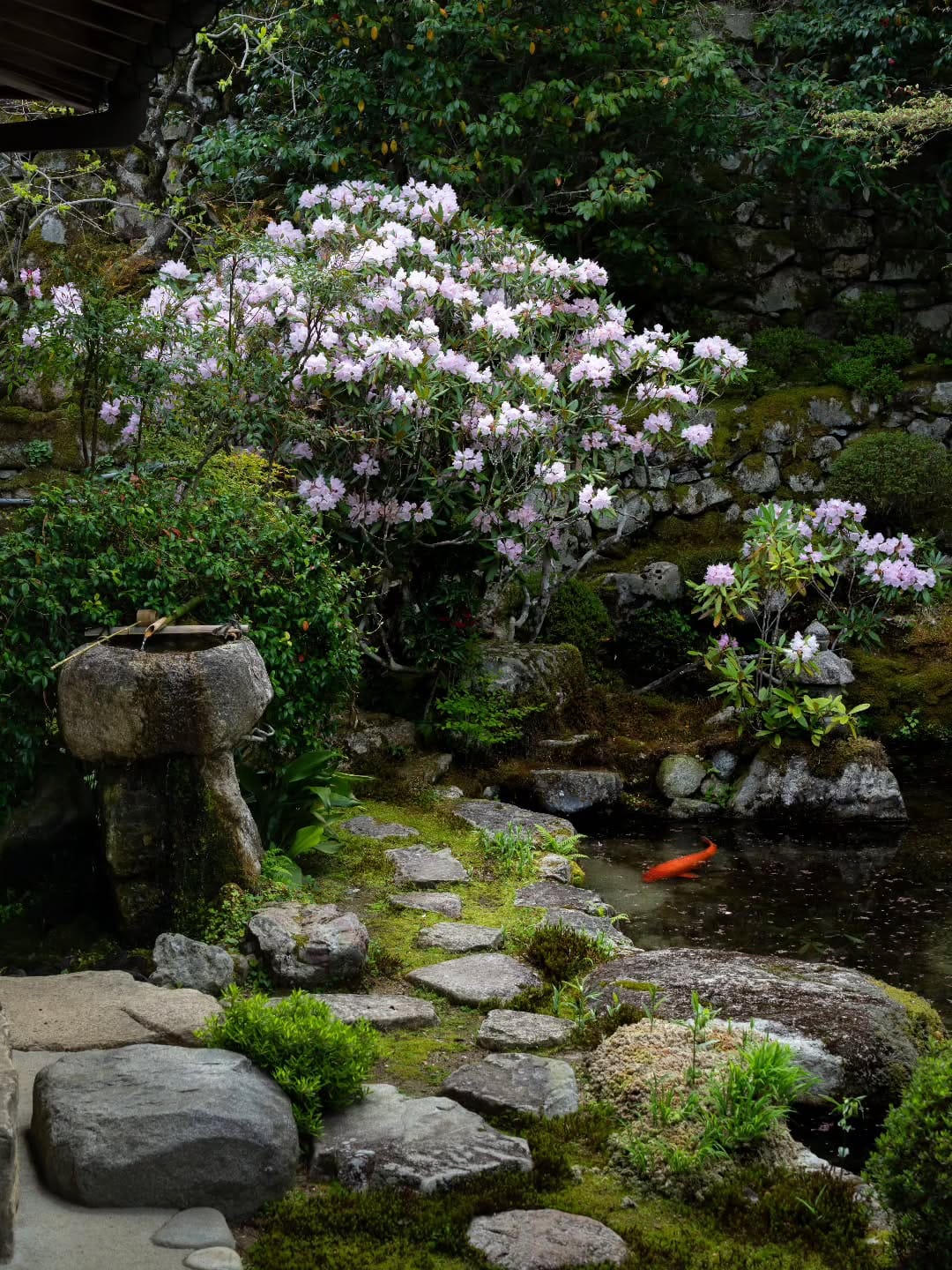 Post 9 by D.Ando(Kyoto) on Instagram (image)