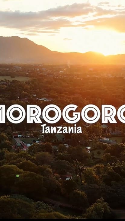 Post 2 by Zanzibar Photographer/Videographer on Instagram (video)