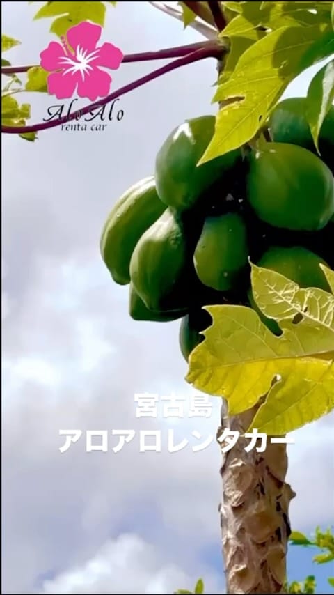 Post 9 by 吉川 和成 on Instagram (video)