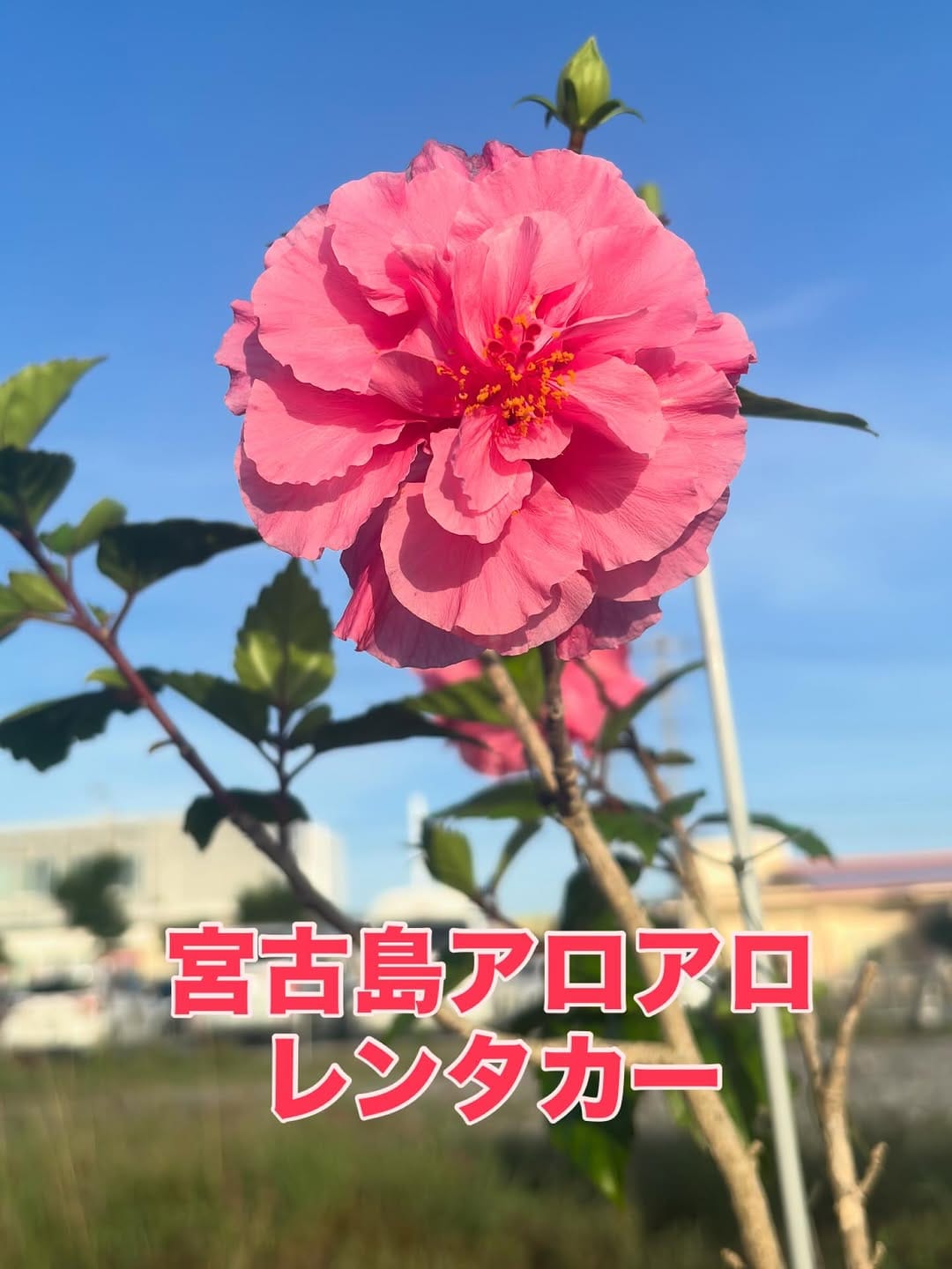 Post 3 by 吉川 和成 on Instagram (image)