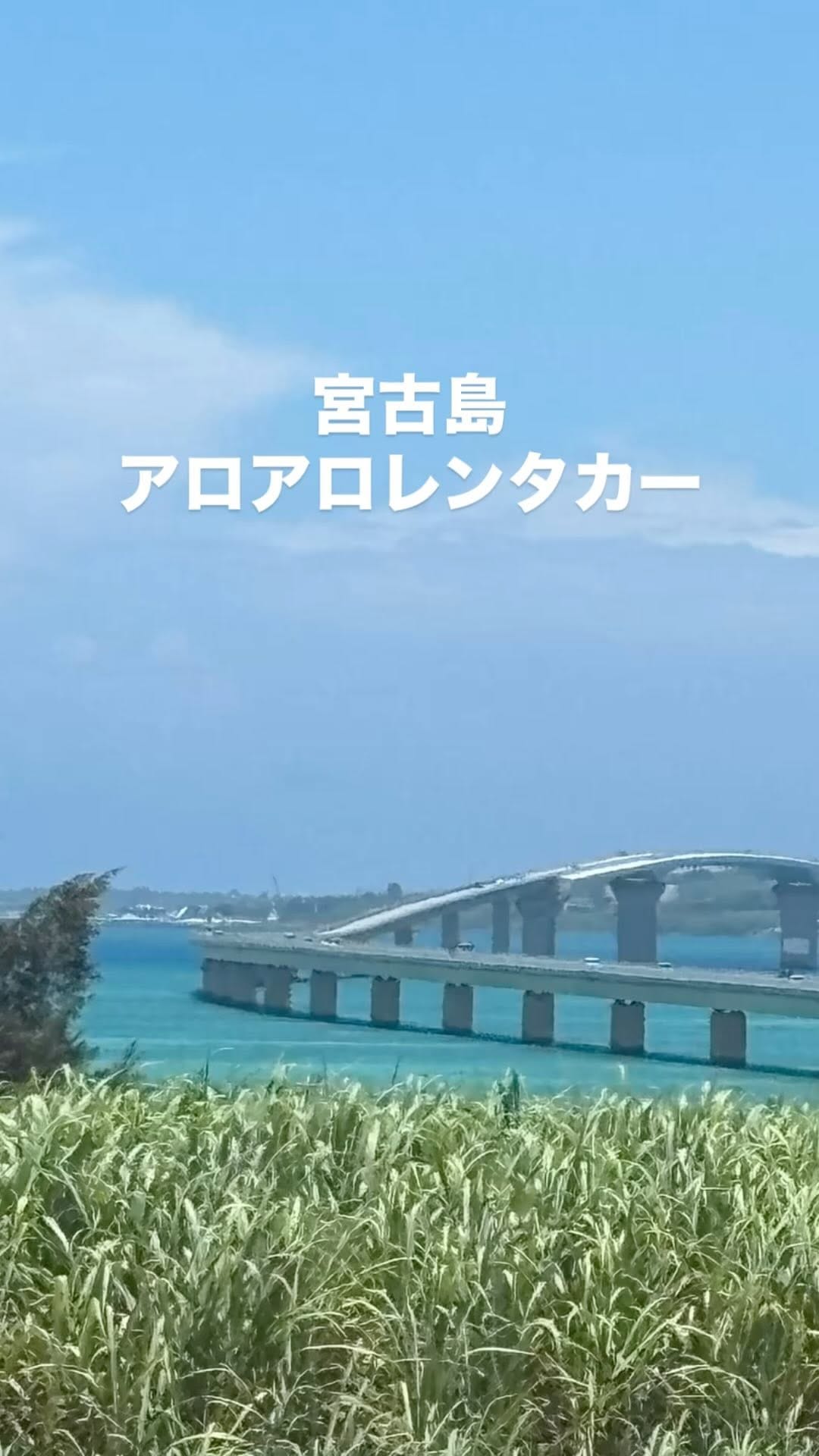 Post 10 by 吉川 和成 on Instagram (video)