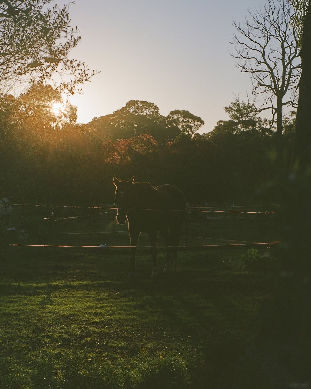 Post 4 by Yusuke Oba / Photographer on Instagram (image)