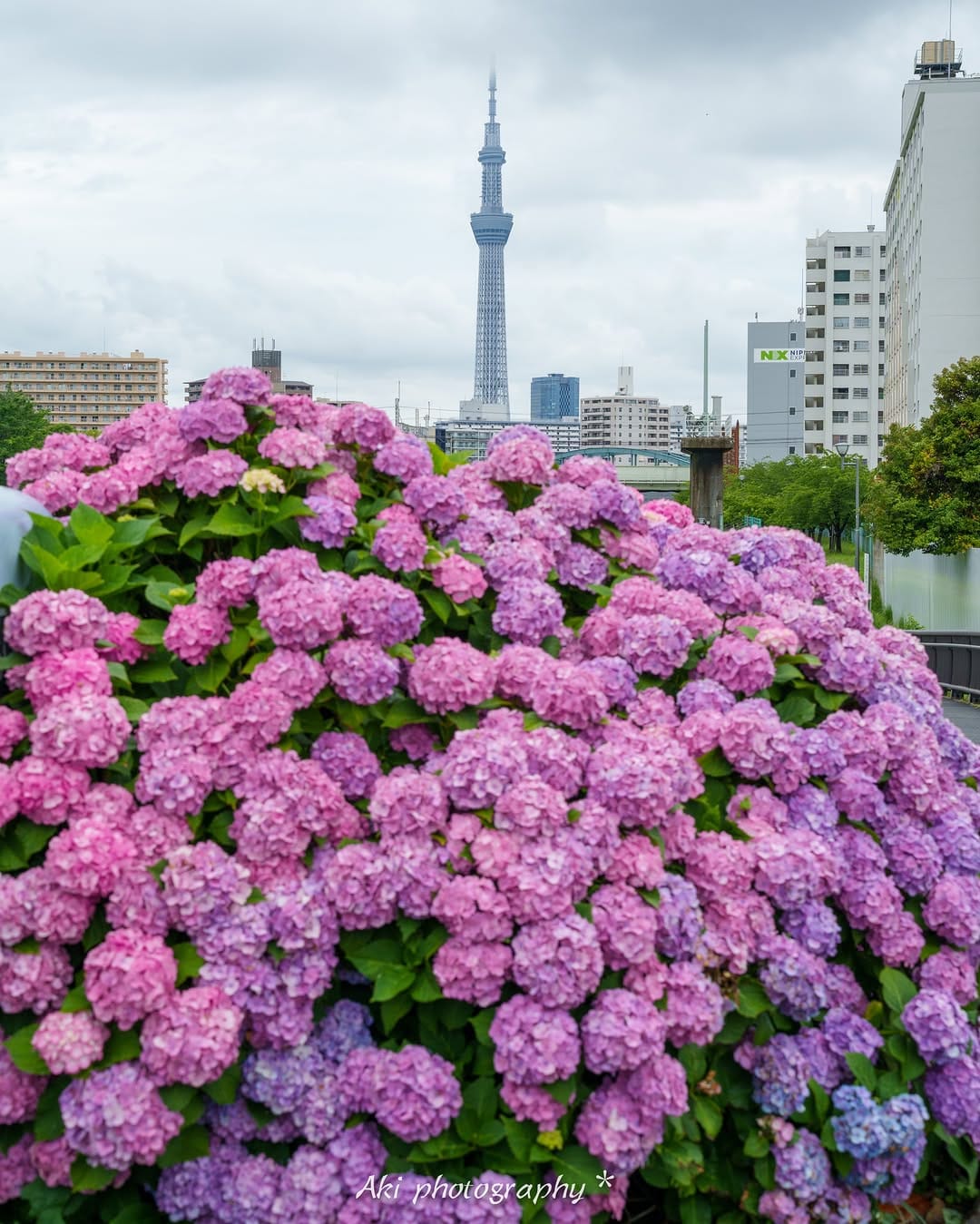 Post 3 by Aki / Travel photographer on Instagram (carousel)