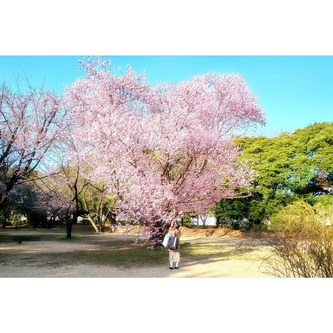 Post 3 by Hideyuki Takahashi on Instagram (carousel)