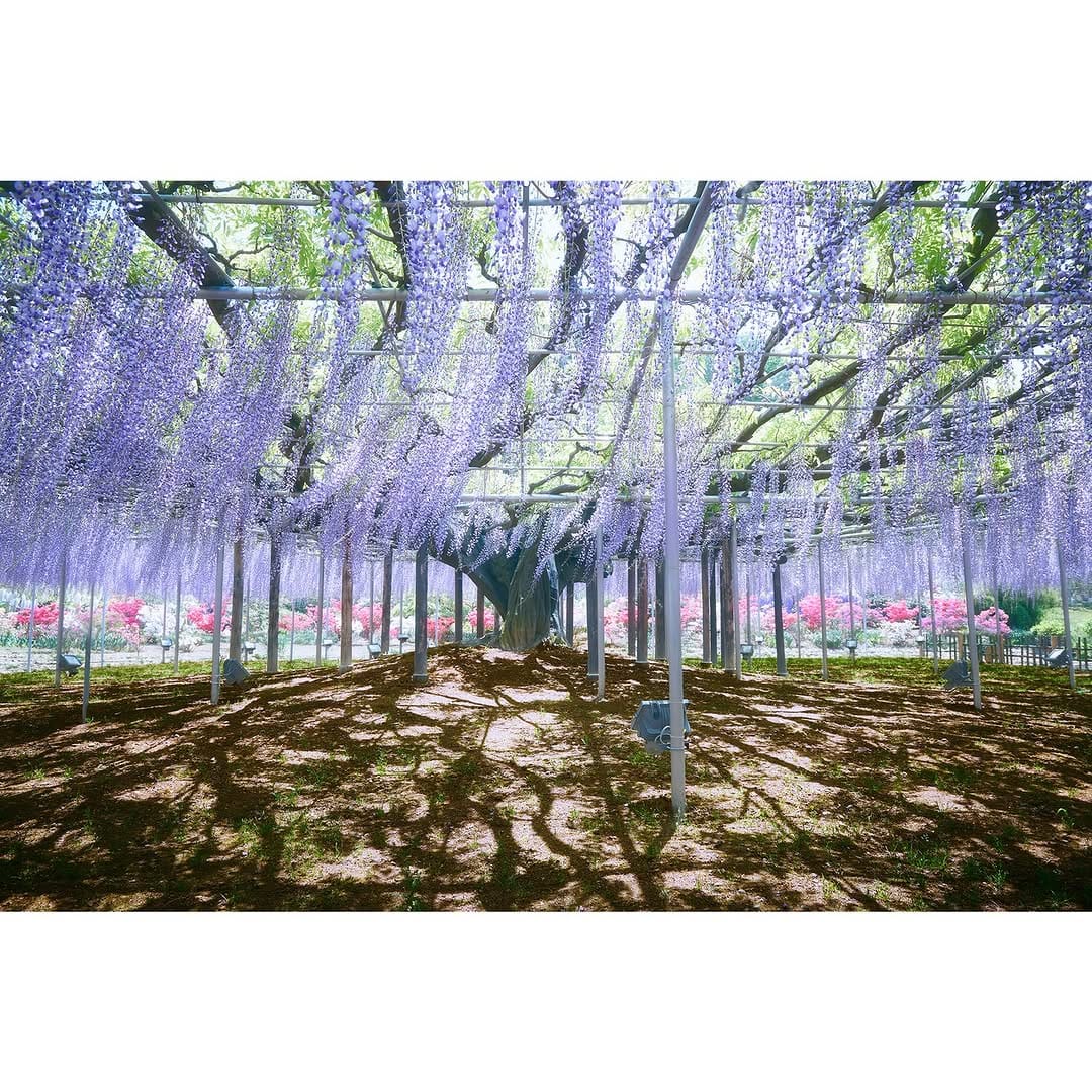 Post 2 by Hideyuki Takahashi on Instagram (carousel)