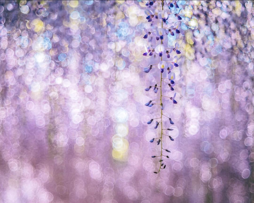 Post 2 by TATSUYA on Instagram (image)