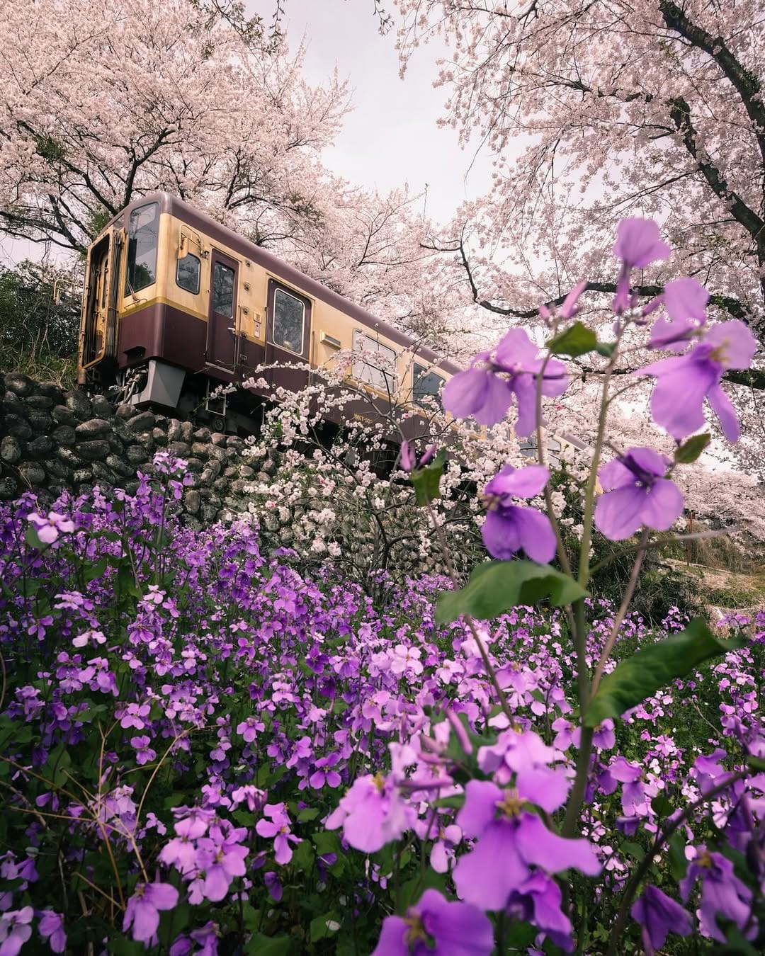 Post 10 by TATSUYA on Instagram (image)
