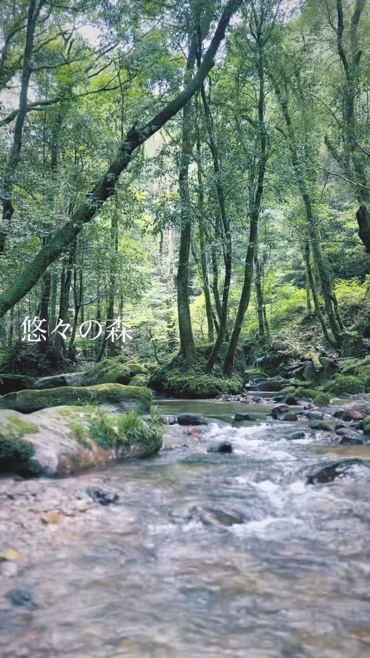 Post 7 by YUTA on Instagram (video)