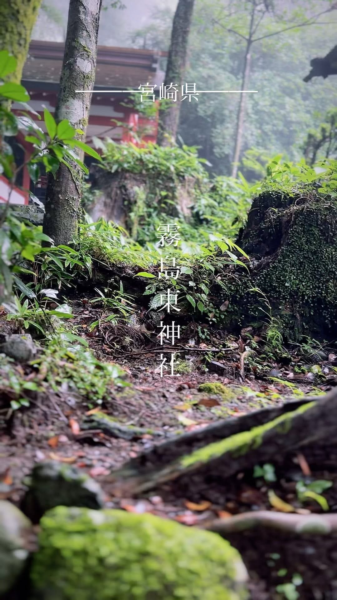 Post 6 by YUTA on Instagram (video)