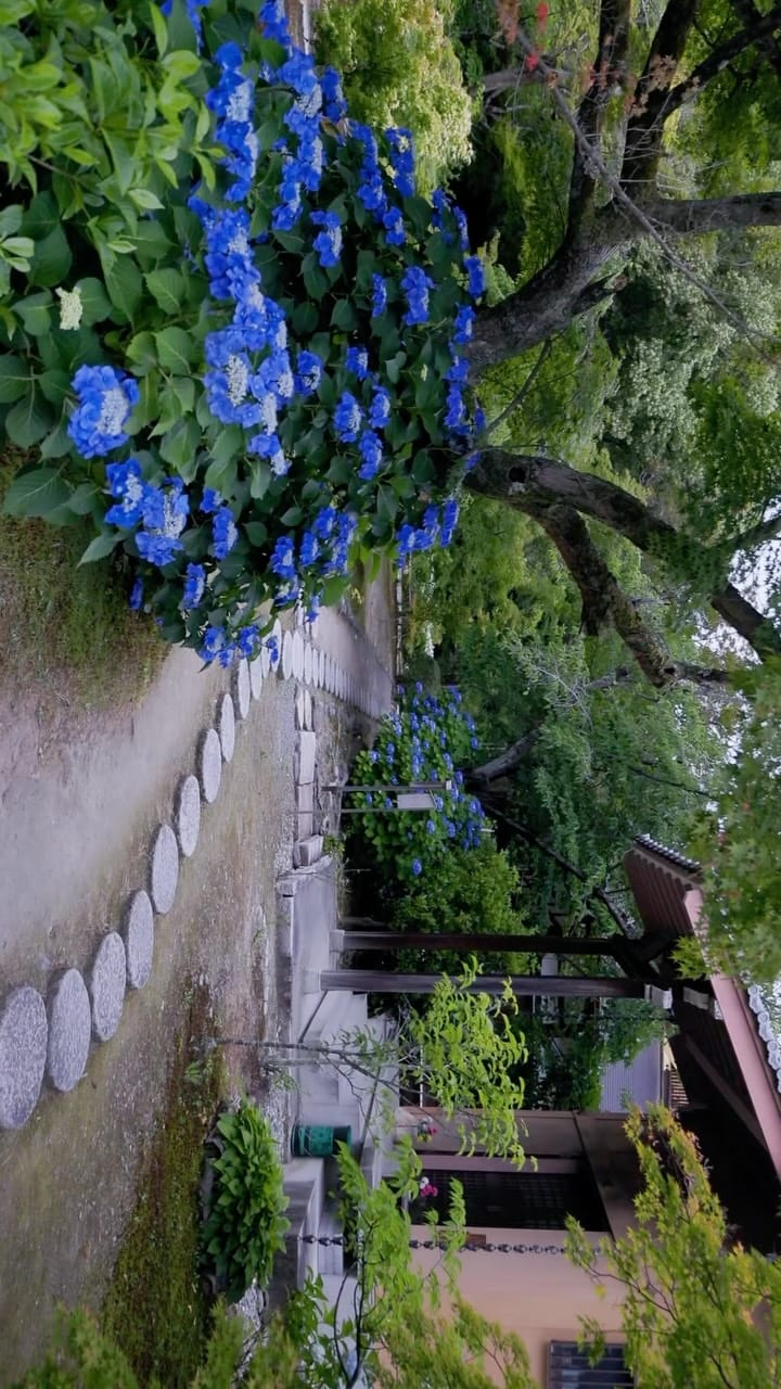 Post 7 by youpv on Instagram (video)