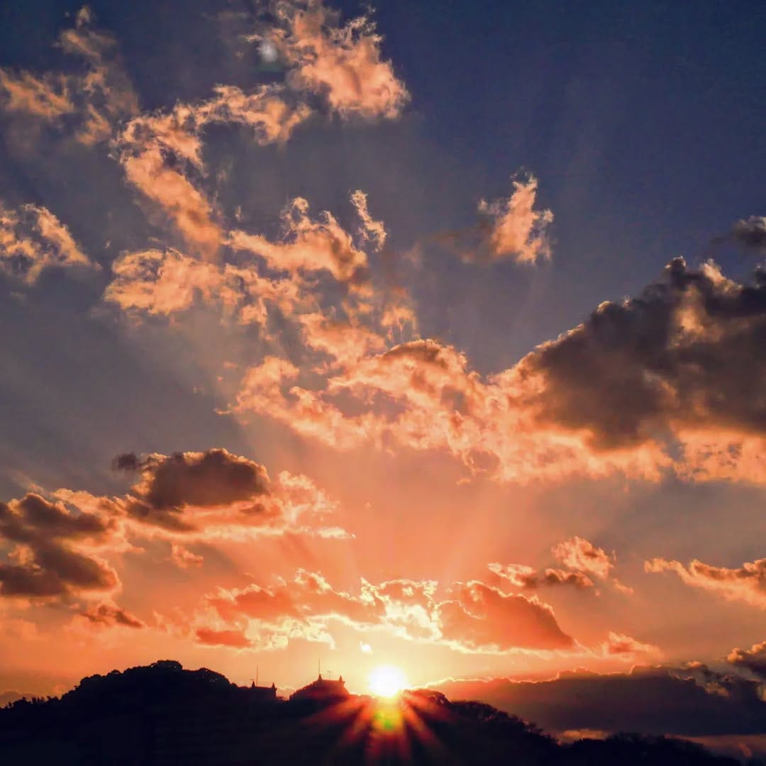 Post 8 by naoto fukuokabai on Instagram (image)