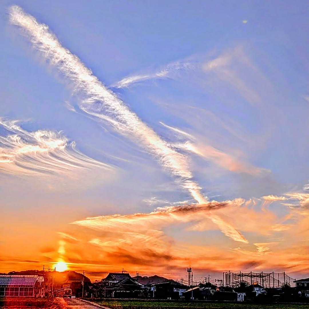 Post 2 by naoto fukuokabai on Instagram (image)
