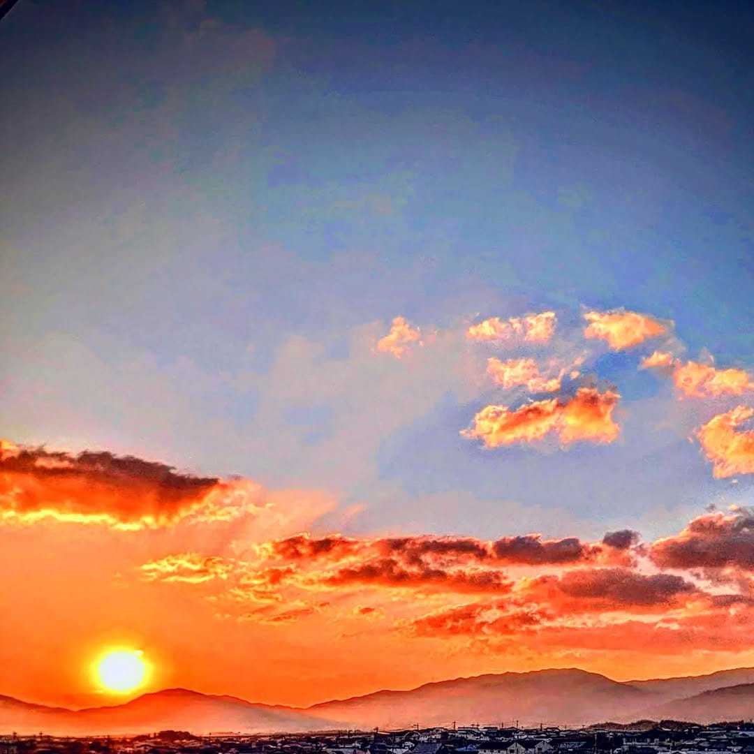 Post 4 by naoto fukuokabai on Instagram (image)