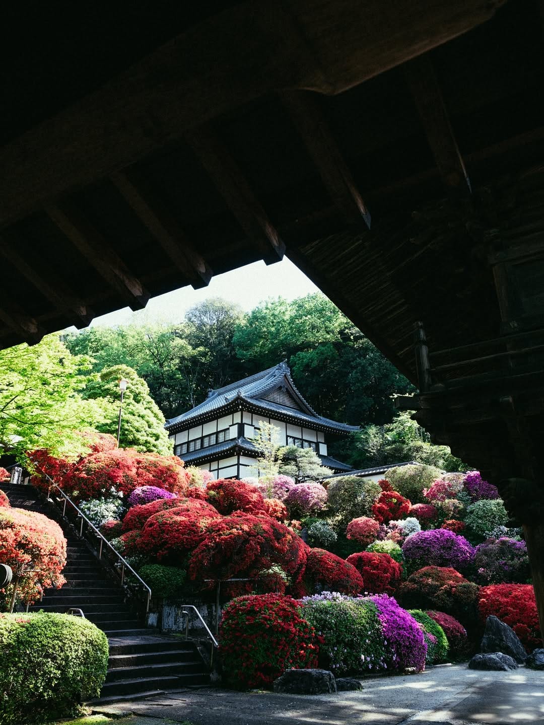 Post 7 by YUMA YAMASHITA/ 山下 裕馬 on Instagram (carousel)