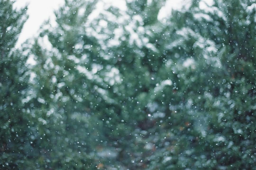 Post 3 by Yusuke Suzuki on Instagram (image)