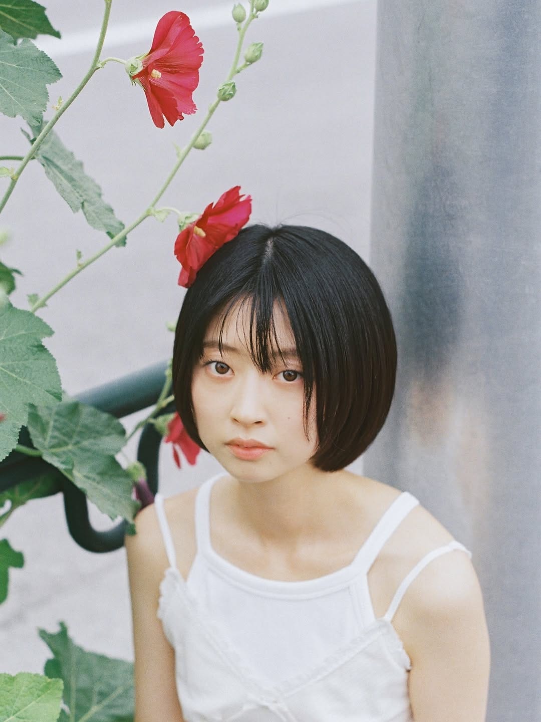 Post 2 by 山口真由／Mayu Yamaguchi on Instagram (carousel)