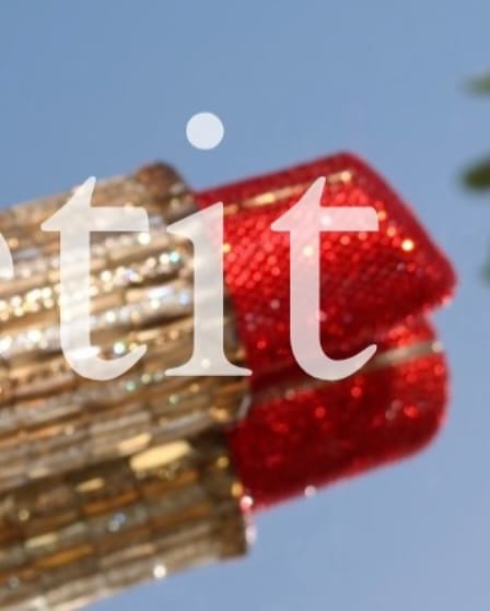 Post 10 by Le Petit | Luxury Evening Bags on Instagram (image)