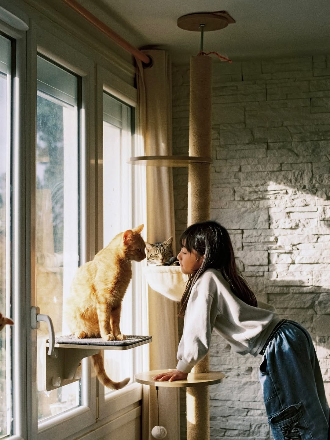Post 5 by yurie furuya 👩🏻西フランス在住🇫🇷パリ フォトグラファー on Instagram (image)