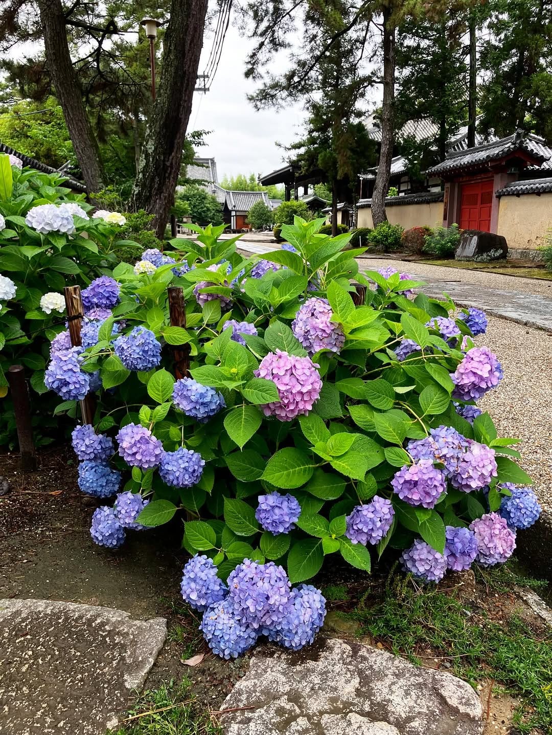 Post 6 by おわんさん(Ishihara ) on Instagram (carousel)