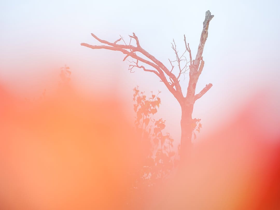 Post 6 by Yokota Shinji on Instagram (image)