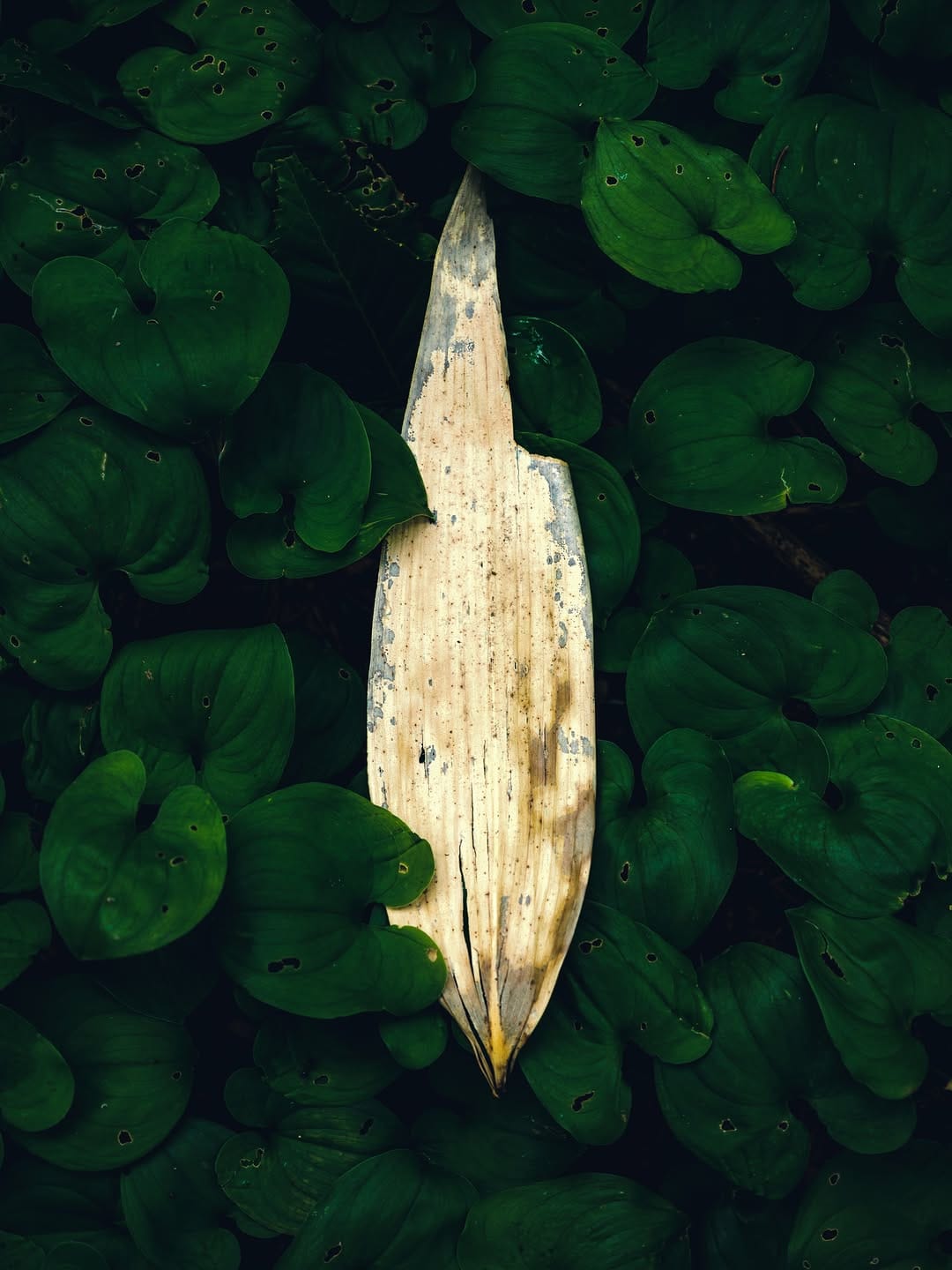Post 2 by Yokota Shinji on Instagram (image)