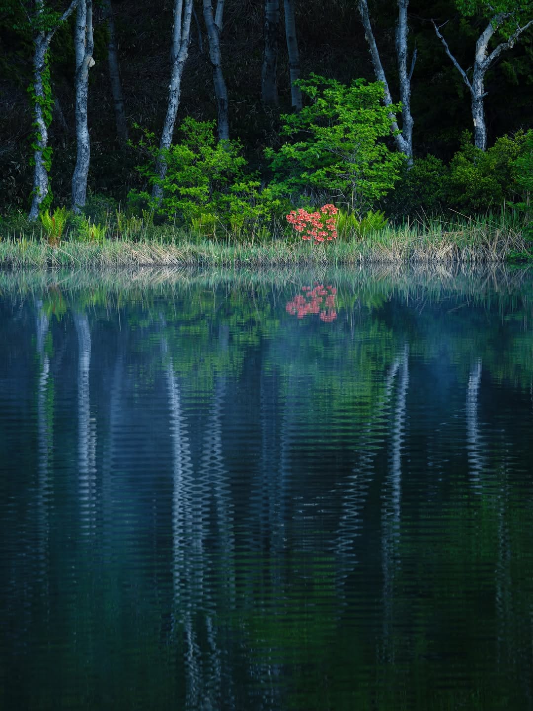 Post 4 by Yokota Shinji on Instagram (image)