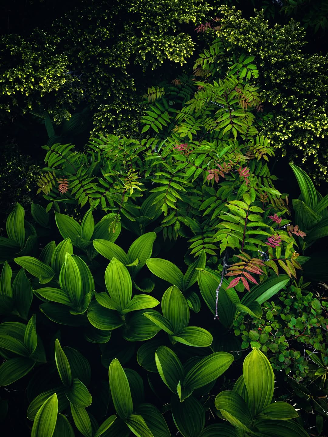Post 3 by Yokota Shinji on Instagram (image)