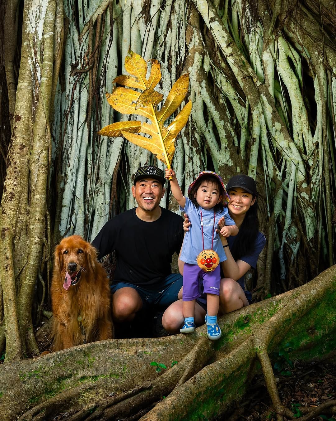 Post 8 by Brent Kobayashi on Instagram (image)