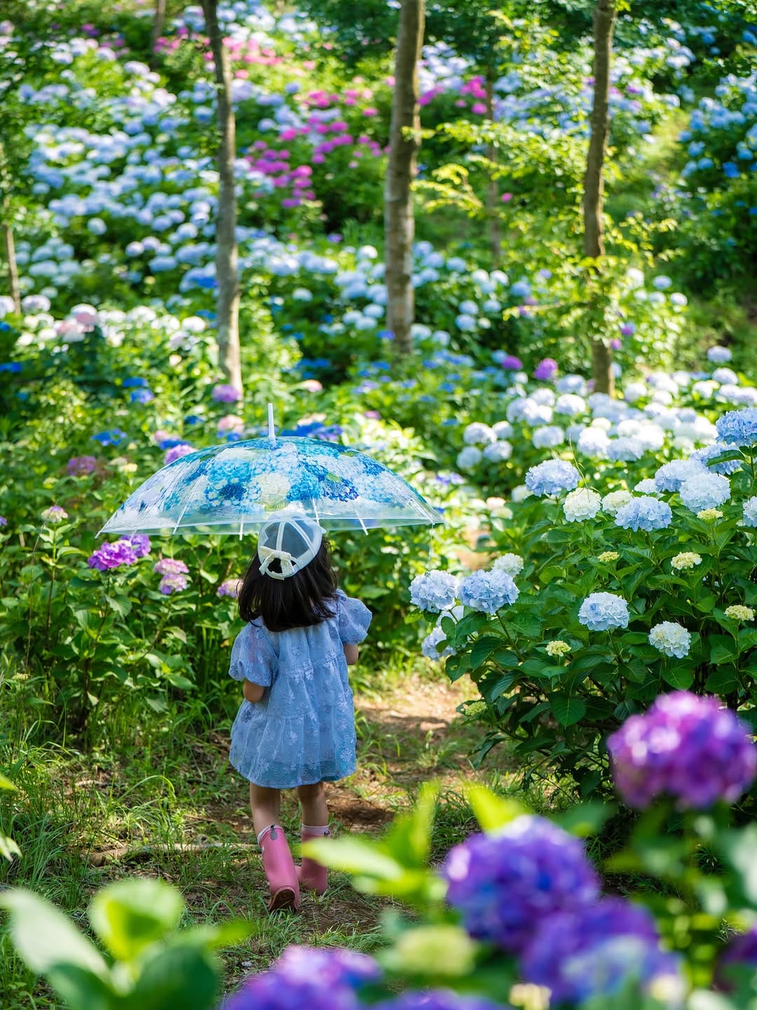 Post 3 by Shintaro Nakazono/鹿児島絶景フォトグラファー on Instagram (carousel)